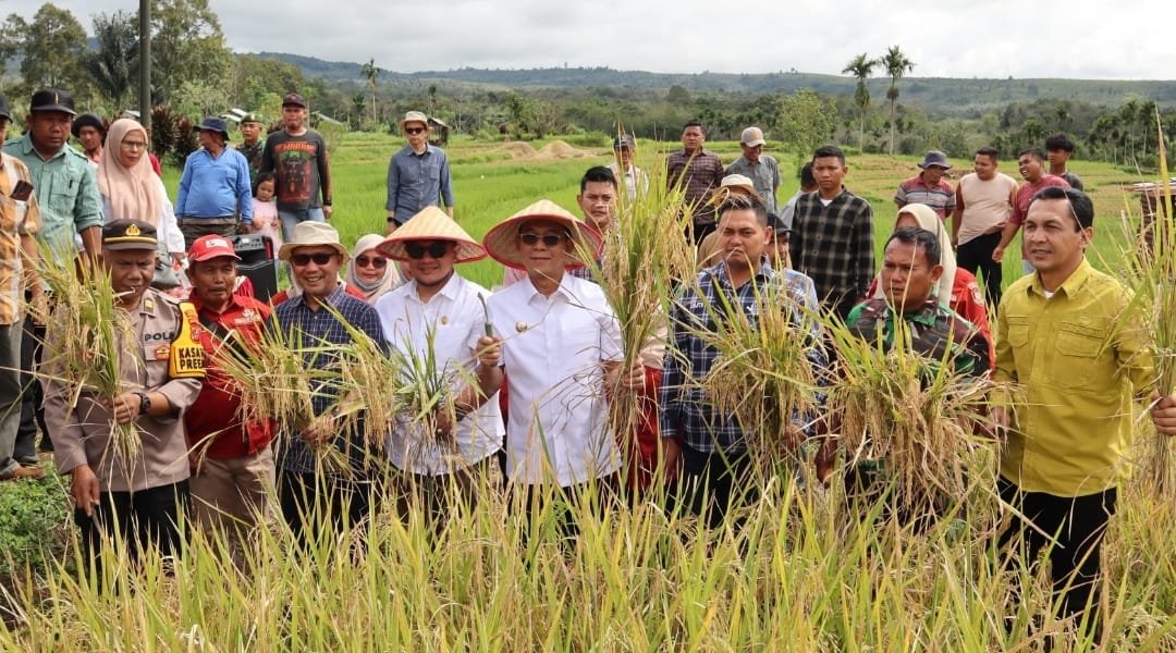 Secara Daring Panen Bersama Presiden RI, Bupati Tapsel Komit Dukung Swasembada Pangan