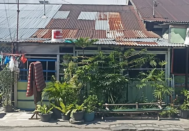 Warga Heboh, 2 Ular Diduga Berjenis Piton Berkeliaran di Rumah, Oknum Damkar Medan: Tunggu Keliatan Panggil Kami