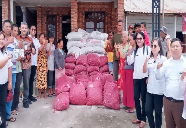 PT. Bank Sumut Bersama Dinas Ketapang dan Pertanian Samosir Salurkan Bibit Bawang Merah