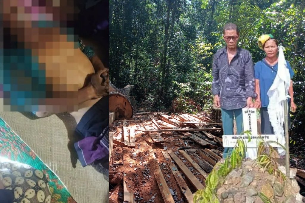 GAWAT! ilegal Logging di Tapsel Rengut Nyawa, Siapa Yang Bertanggung Jawab?