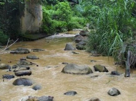 Tambang Emas Ilegal Marak di Tapsel, Dinas dan Aparat Dinilai Tak Berdaya