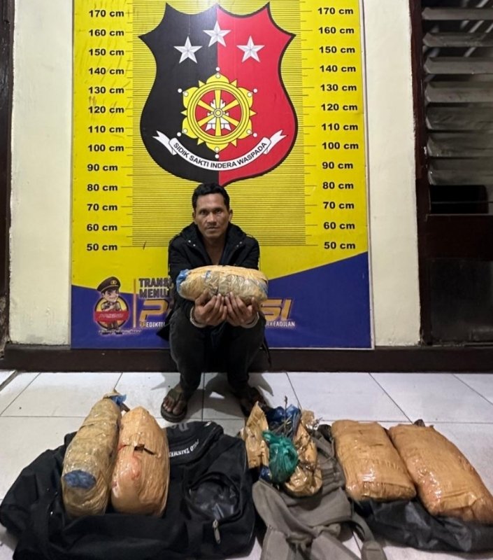 Bongkar Jaringan Ganja! Pria Madina Dibekuk di Tapsel dengan 5 Bal Ganja!