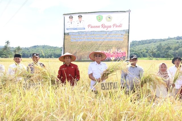 Hasil Melimpah! Gus Irawan Pimpin Panen Padi, Tapsel Siap Jadi Lumbung Pangan Nasional