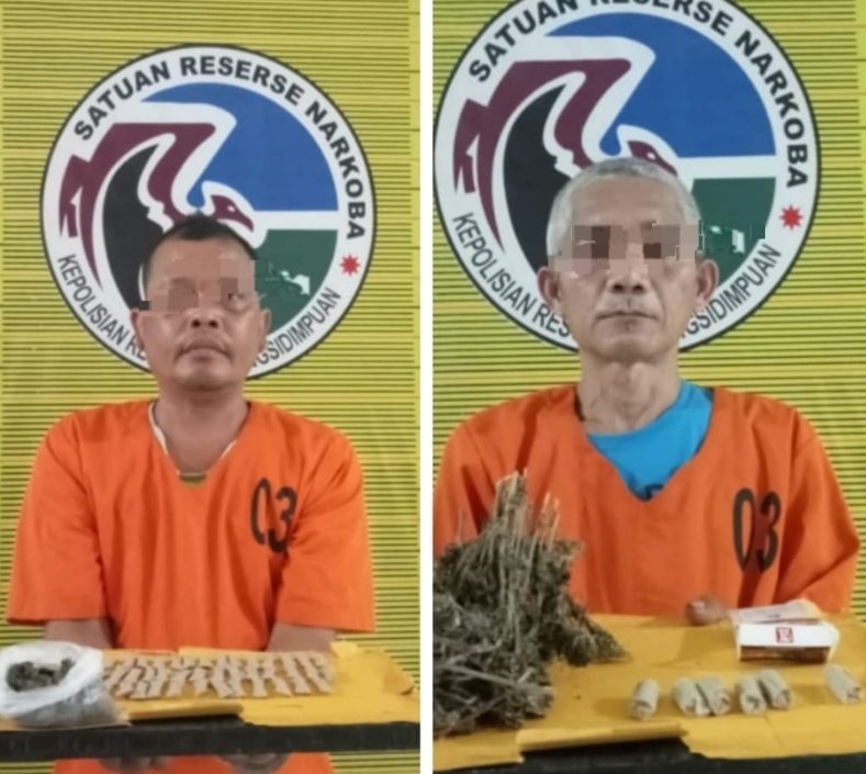 Gempur Narkoba! Polres Sidimpuan Bekuk Dua Pengedar Ganja dalam Sehari