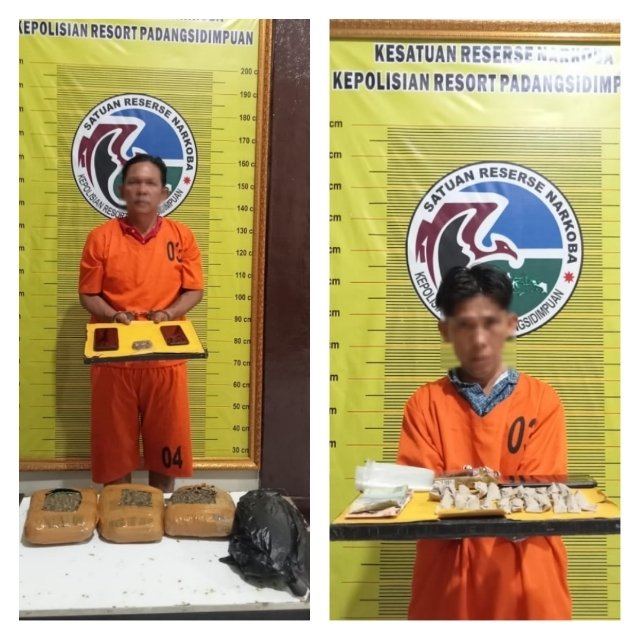 Mantap! Satresnarkoba Sidimpuan Bongkar Jaringan Ganja, Dua Pelaku Diamankan