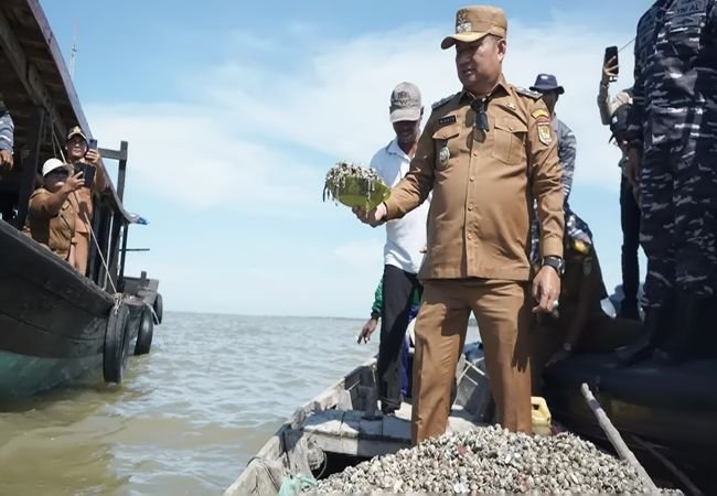 Wabup Asahan Tabur Benih Kerang Dara di Silo Baru, Dorong Ekonomi dan Konservasi Laut