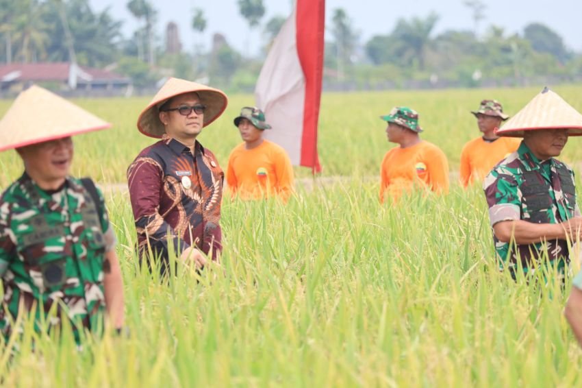 Muhammad Fadly Abdina Ikuti Panen Raya Padi Lahan Ketahanan Pangan Kodam I/BB Bersama Panglima TNI