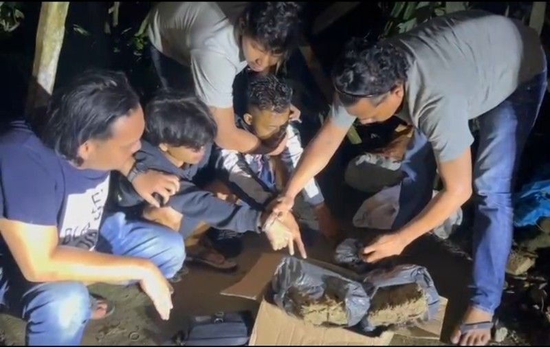 Satu Hari, Empat Tumbang! Sat Narkoba Tapsel Gasak Jaringan Ganja & Sabu