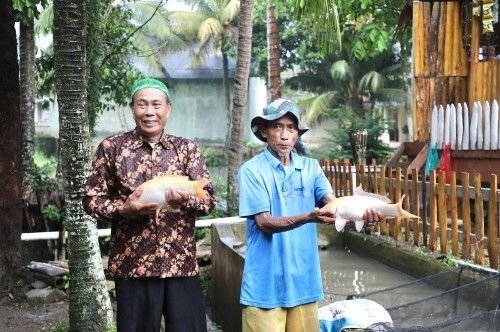 Kampung Reforma Agraria Pandeglang, dari Sertifikat Tanah Jadi Sumber Rezeki