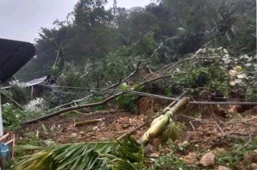 Longsor Mematikan di Sisundung Tapsel, 1 Warga Tewas, 2 Terluka, dan 1 Mobil Terjun ke Jurang