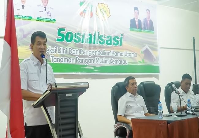 Wakil Bupati Konut Buka Sosialisasi Deteksi Dini dan Pengendalian Hama Tanaman Pangan