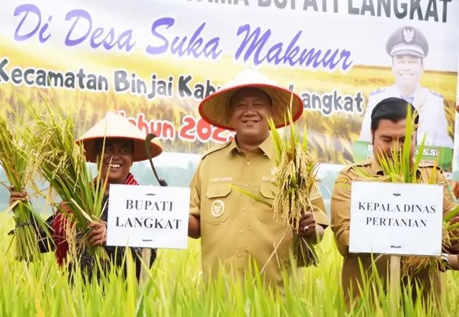 Bupati Langkat Resmikan Kilang Padi Sukma Jaya dan Hadiri Panen Raya di Desa Suka Makmur