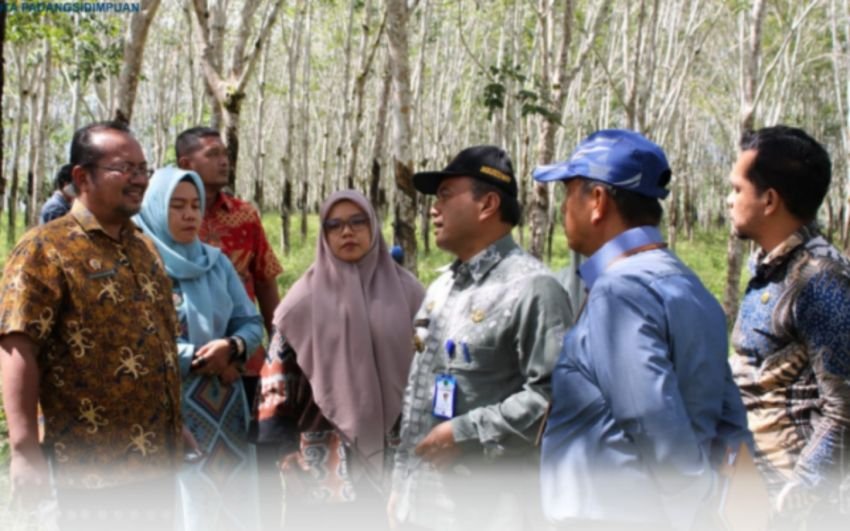 Kantor Pertanahan P.Sidimpuan Survei Lokasi Pembangunan Huntara dan Huntap di Pulo Bauk