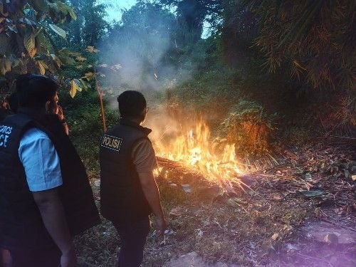Sarang Narkoba Silayang-layang Dibakar! Polisi Datang, Pemakai Kaget, Gubuk Ludes