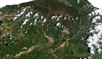 Dana Miliaran Dipertanyakan, Pokja Ekosistem Batang Toru Dinilai Gagal Cegah Bencana