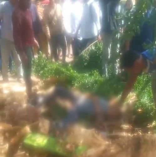 Diterpa Angin Kencang, Pohon Besar yang Lapuk Roboh dan Renggut Nyawa Pelajar SMP