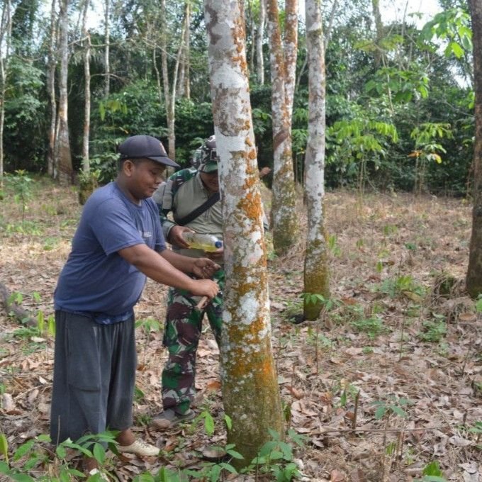 Rezeki di Kebun Karet Akbar Nasution, Satgas TMMD Hadir Berbagi Tenaga