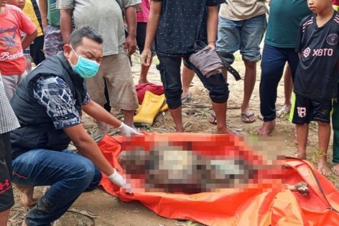 Terkuak! Kerangka Manusia Ditemukan di Pinggir Sungai Batangtoru, Diduga Korban Banjir Garoga 2025