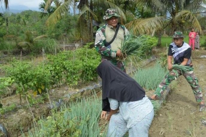 Hijau di Tangan Prajurit: Satgas TMMD Ke-127 Bantu Panen Bawang Prei Warga Sangkunur