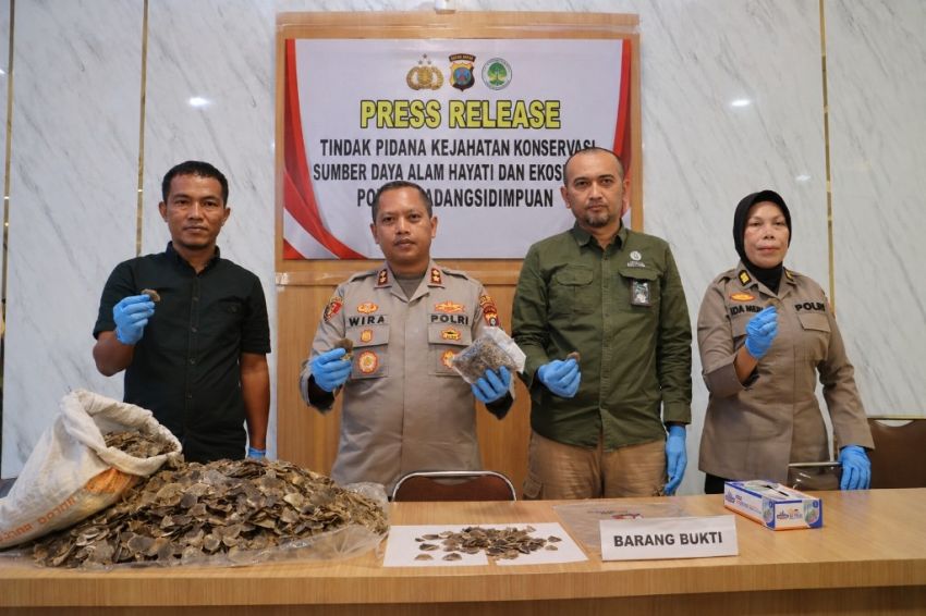 Sisik Trenggiling Digagalkan di SPBU, Polres P.Sidimpuan Bongkar Kejahatan Satwa Dilindungi