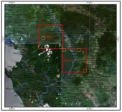 Penampakan Harimau Sumatera di Koridor NSHE, Alarm Keras bagi Aktivitas Industri di Batang Toru