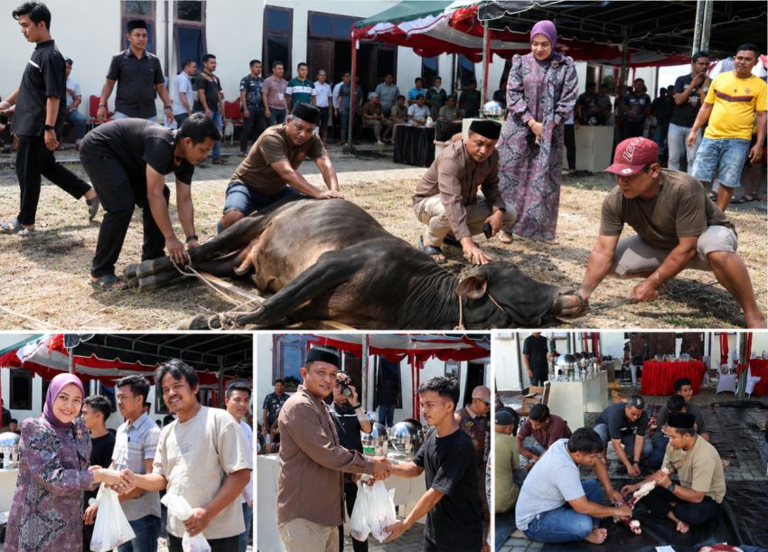 Kurban 15 Ekor Lembu, Polres Tapsel Teguhkan Semangat Pengabdian dan Kepedulian