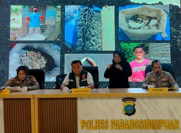 Terbongkar Lagi! Transaksi Gelap Trenggiling & Harimau Dahan di P.Sidimpuan Disikat Polisi