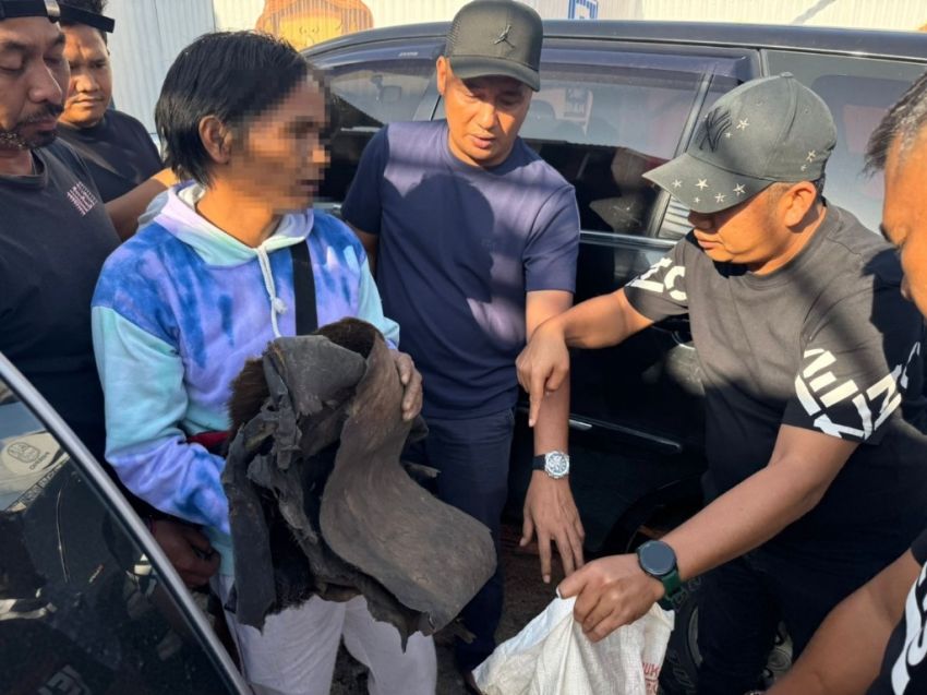 Aksi Terbongkar ! Pria 33 Tahun Kepergok Jual Sisik Trenggiling hingga Kulit Kijang