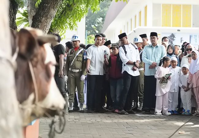 Bobby Nasution Salat Idul Adha di Binjai, Pemprov Sumut Salurkan 167 Hewan Kurban