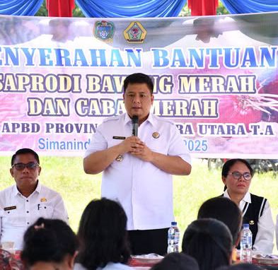 Pemkab Samosir dan Pemprov Sumut Salurkan Bantuan Bibit Bawang dan Cabai untuk 16 Kelompok Tani
