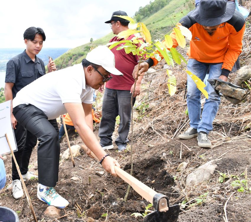 Wabup Samosir Pimpin Penanaman 3.450 Pohon di Lereng Pusuk Buhit, Perkuat Konservasi Kawasan Danau Toba