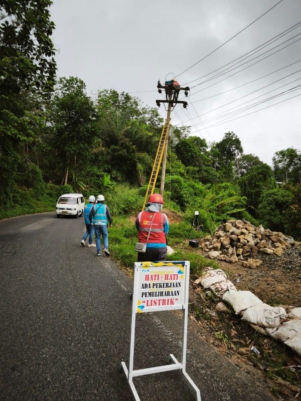 Antisipasi Gangguan Listrik, PLN Sisir Jaringan 20 kV di Mandailing Natal