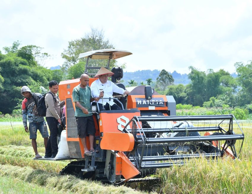 Taksi Alsintan Permudah Petani, Bupati Samosir Vandiko T. Gultom Turun Langsung Panen Padi Bersama Masyarakat
