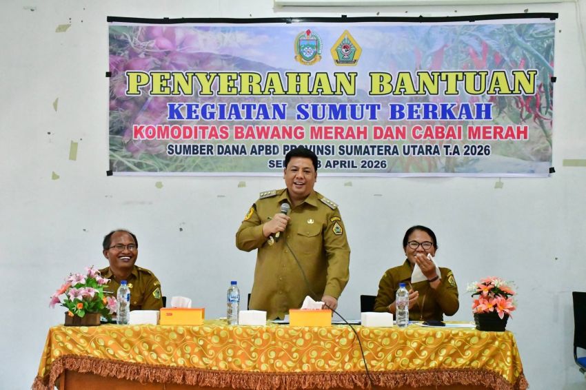 Hasil Kolaborasi Sumut Berkah, Bupati Samosir Serahkan Bantuan Bibit Pengembangan Cabai dan Bawang Merah