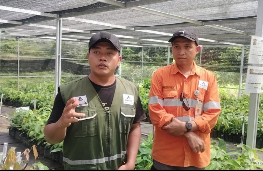 Dulu Korban Banjir, Kini Ali Wahab Bantu Hidupkan Kembali Kakao Batang Toru Bersama PTAR