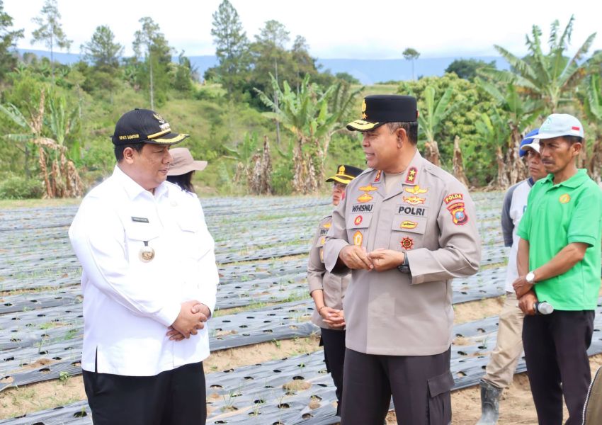 Wujudkan Swasembada Pangan Nasional, Bupati Samosir Bersama Kapolda Sumut Tinjau Lokasi Penanaman Bawang Putih di Kecamatan Simanindo