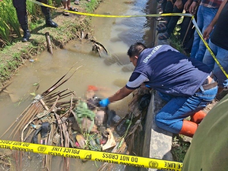 Petani Ditemukan Tewas di Saluran Irigasi Sawah, Sempat Muntah Usai Makan Kacang