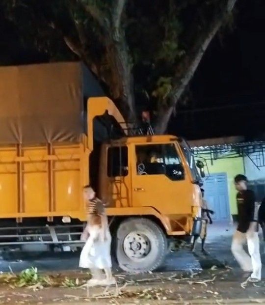 Truk Tabrak Pohon di Jalan Imam Bonjol, Ranting Timpa Sepeda Motor
