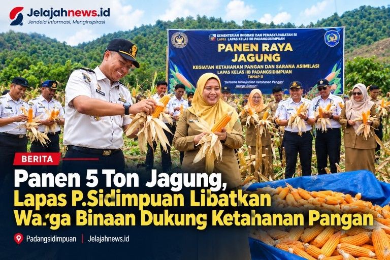 Panen 5 Ton Jagung, Lapas P.Sidimpuan Libatkan Warga Binaan Dukung Ketahanan Pangan