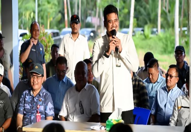 Bobby Bangun Rumah Produksi Kelapa di Nias Utara