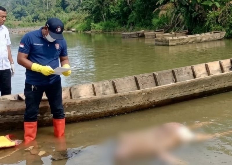 Geger! Mayat Pria Ditemukan di Pantai Damar Mini, Warga Curigai Dugaan Kekerasan