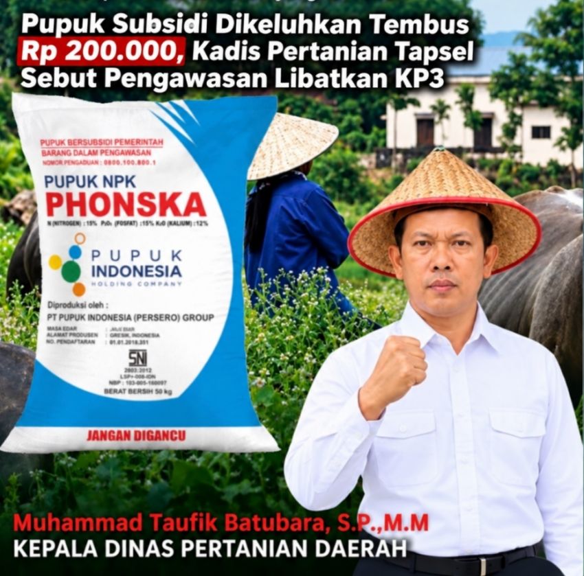 Pupuk Subsidi Dikeluhkan Tembus Rp 200.000, Kadis Pertanian Tapsel Sebut Pengawasan Libatkan KP3