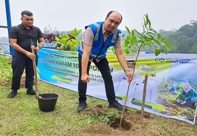 Tirtanadi Tanam 1.000 Pohon di Sibolangit dan Berastagi, Lindungi Kawasan Resapan Air