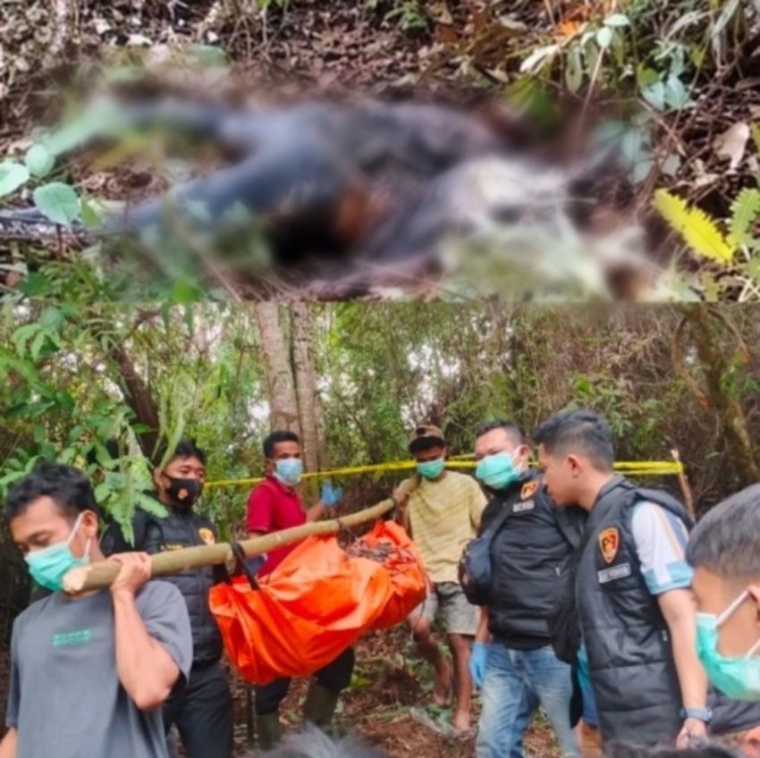 Hampir Dua Pekan Hilang, Pria 27 Tahun Ditemukan Tewas di Kebun Wa